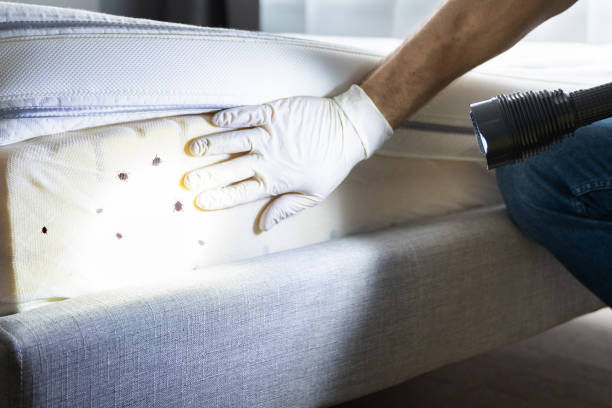 Best Pest Prevention Services  in Richgrove, CA