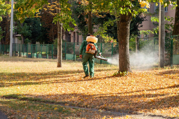 Best Best Pest Control Companies  in Richgrove, CA