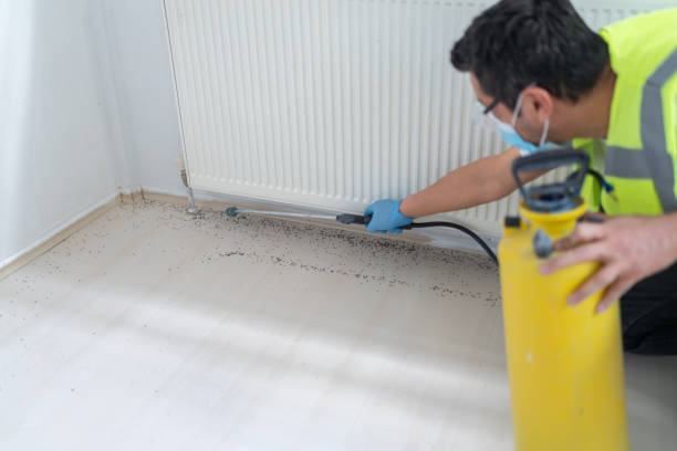 Best Wasp Removal Services  in Richgrove, CA